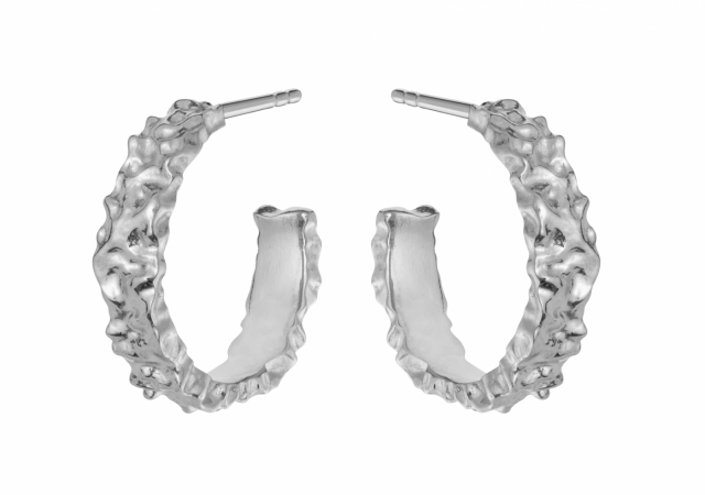 Aio Petite Örhänge Silver