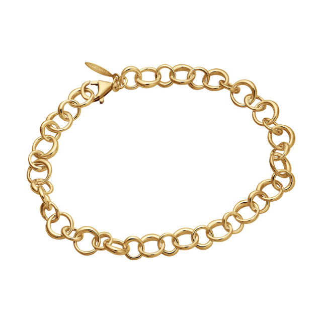 Les Amis drop chain Armband Guld