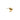 Sagene Trail Stud Goldplated Silver vänster (1st)