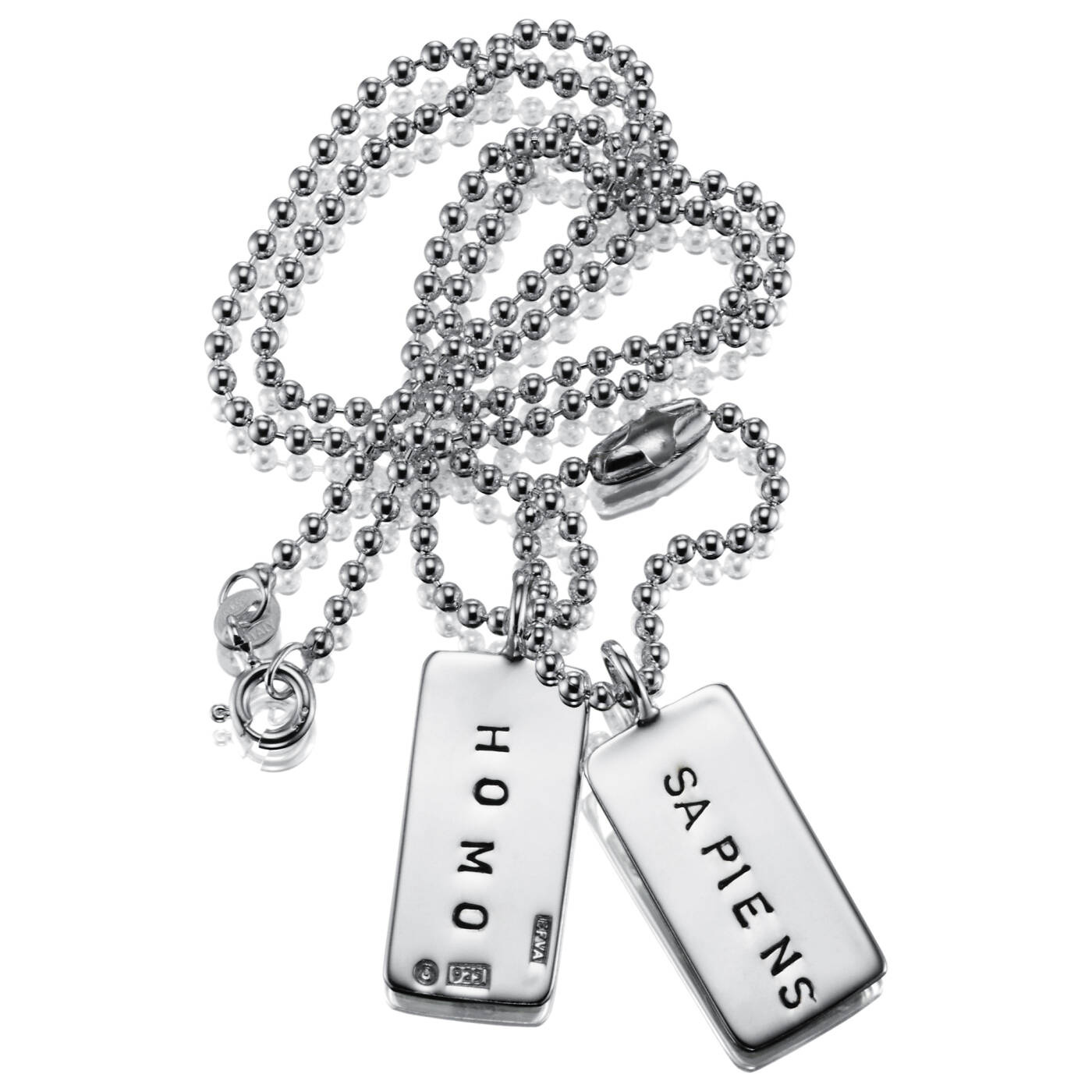 Homo Sapiens Tags Hängsmycke Silver