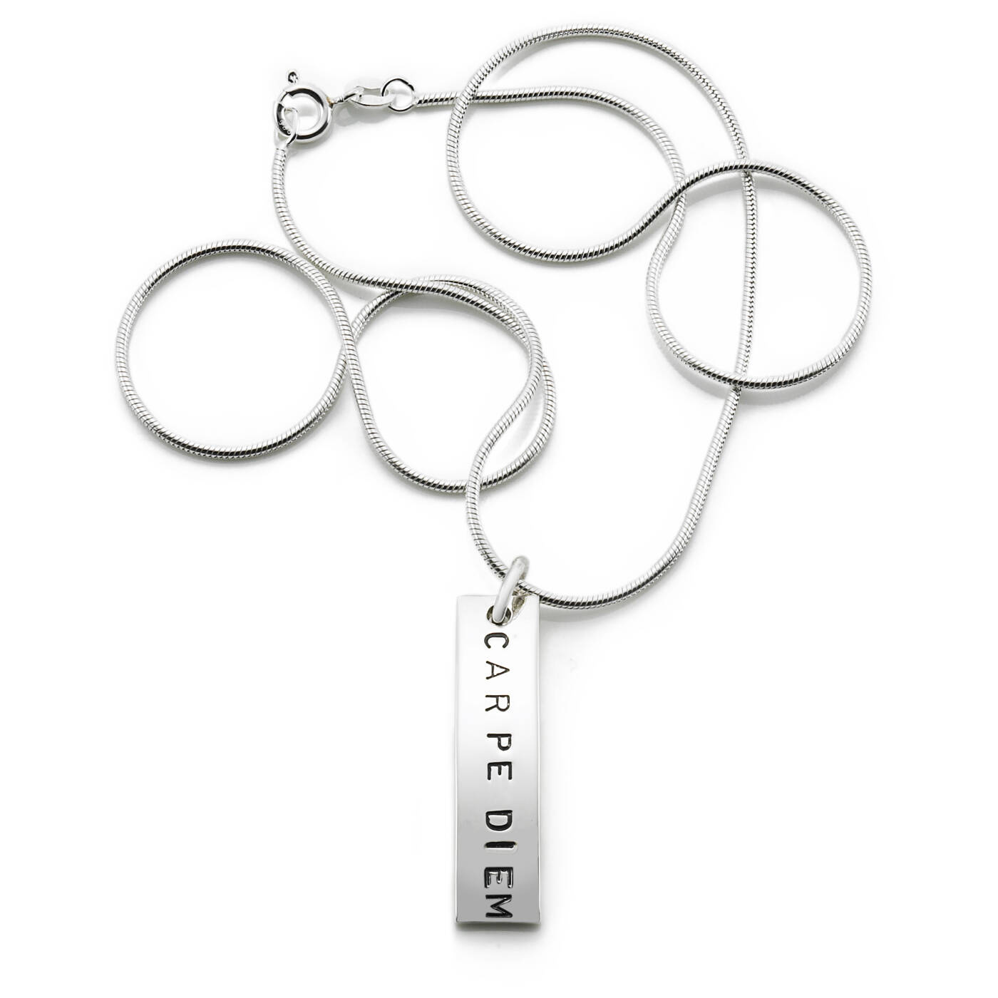 Carpe Diem Hängsmycke Silver