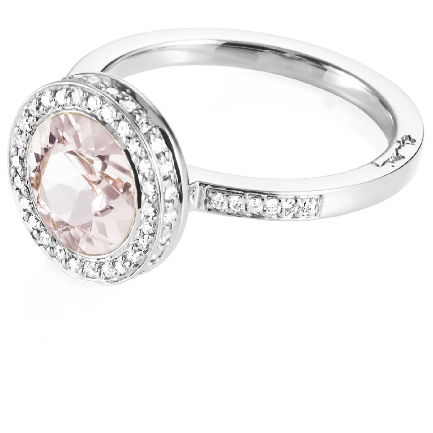 Halo - Morganite Ring Vitguld