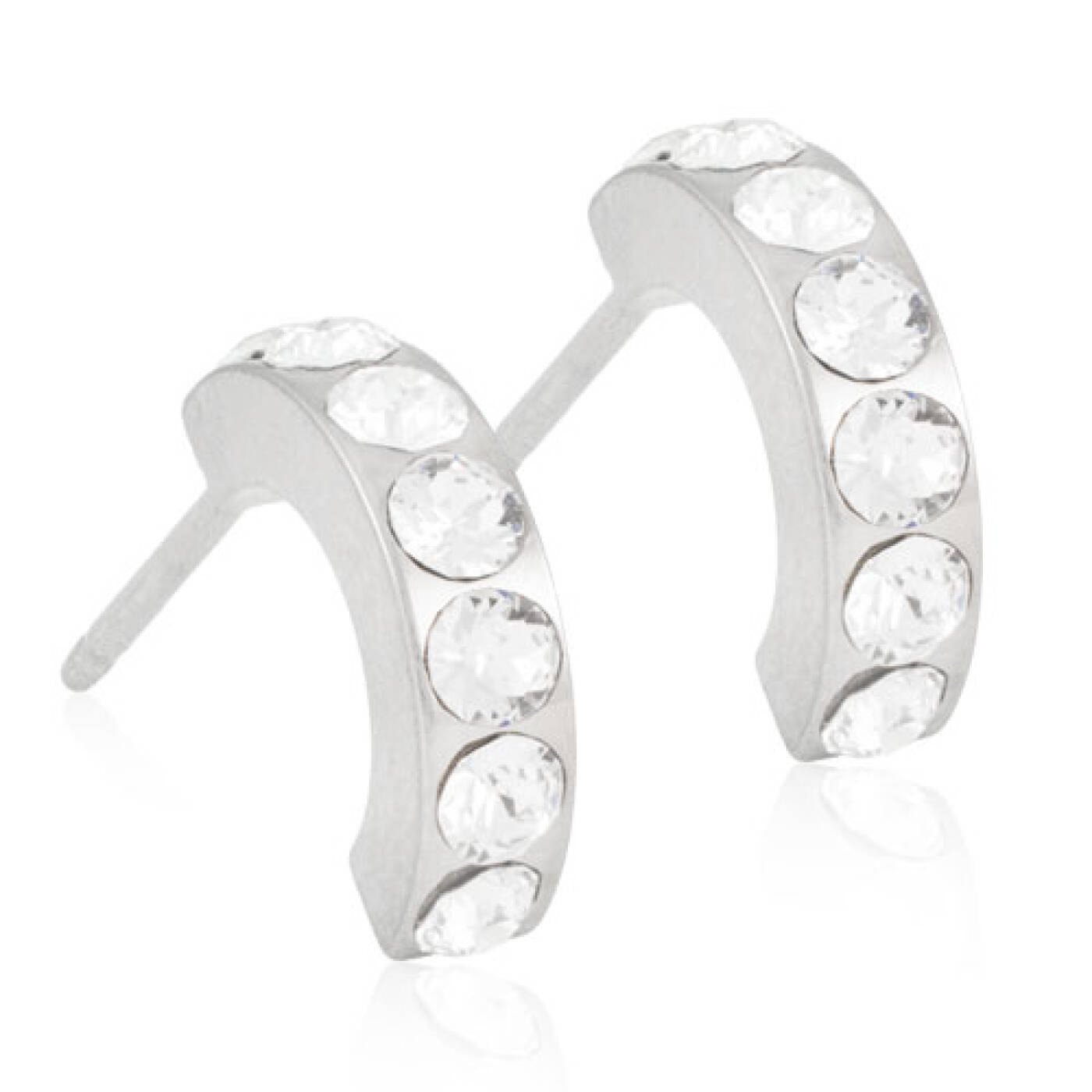 Natural Titanium Pendant Brilliance Curved 10 mm, Crystal Örhänge