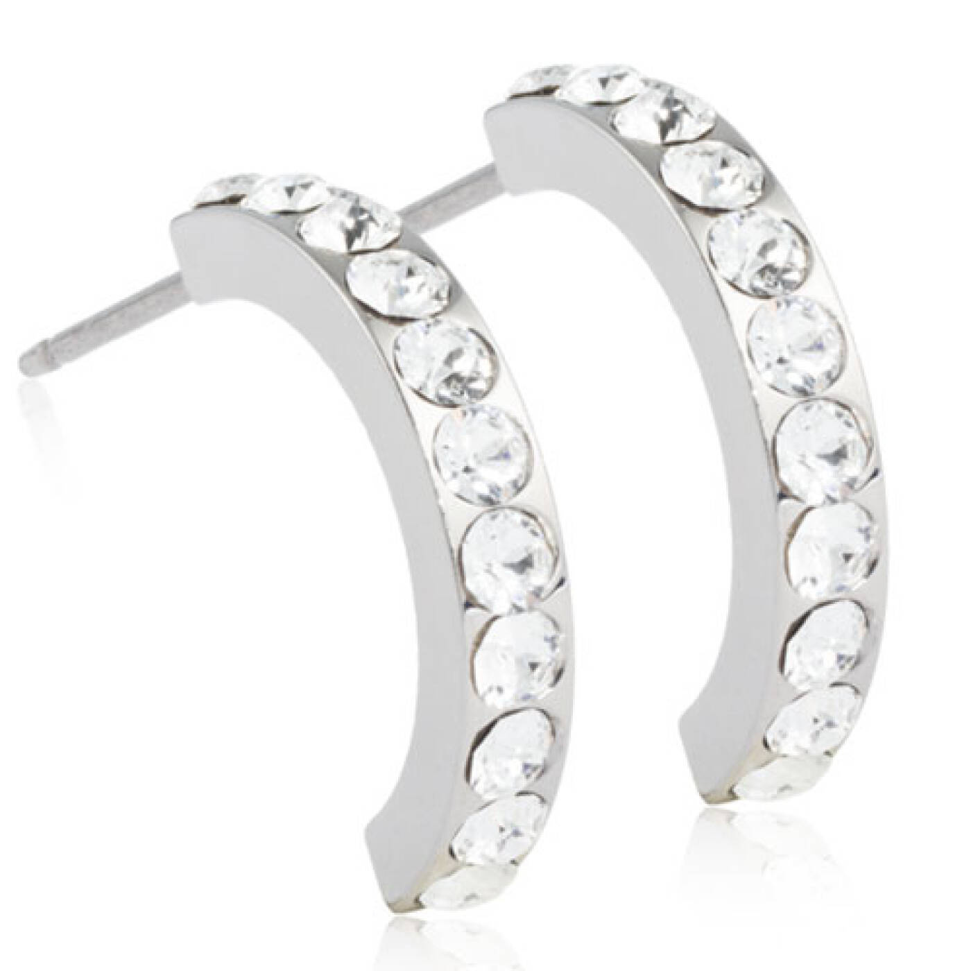 Natural Titanium Pendant Brilliance Curved 15 mm, Crystal Örhänge