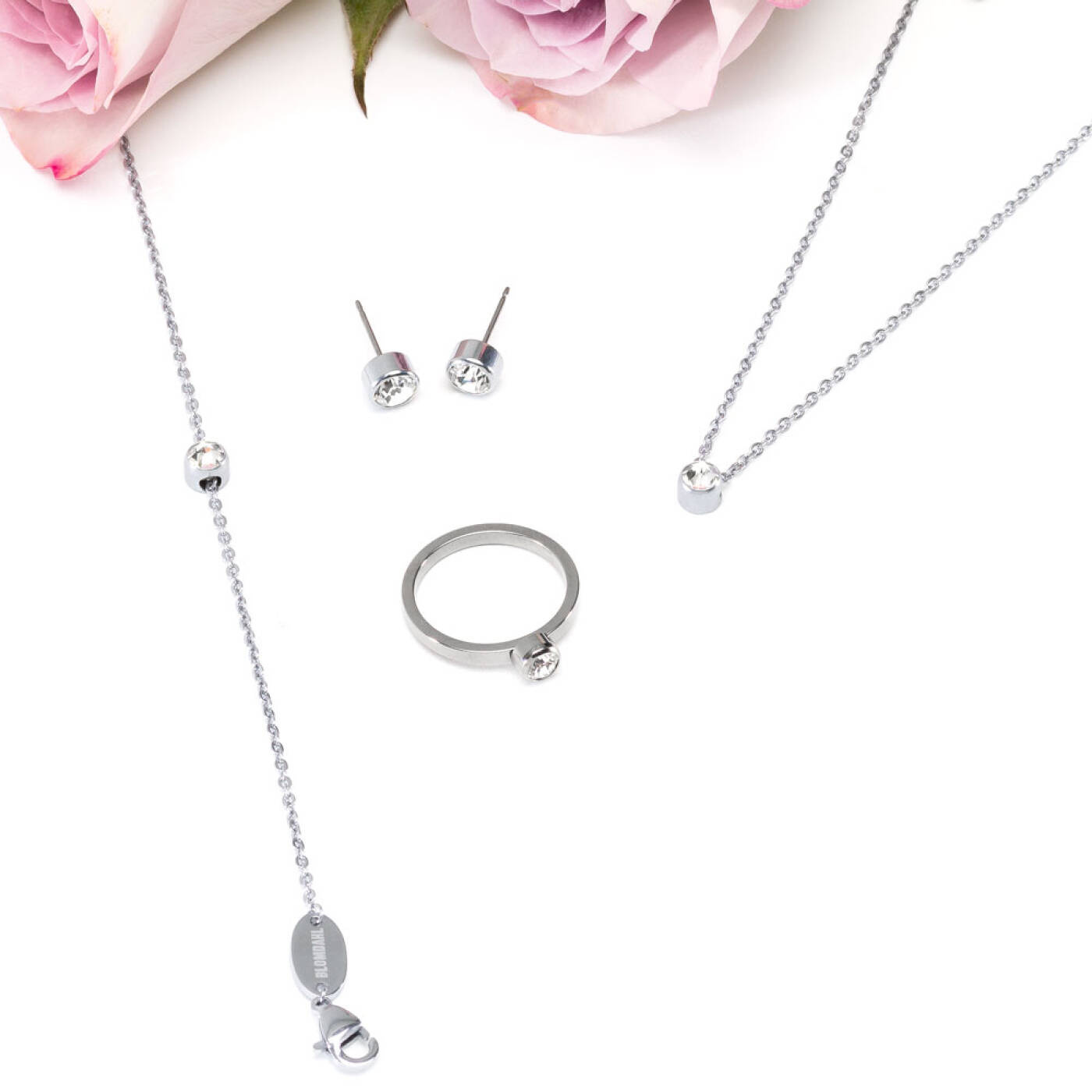 Silver Titanium Bezel 6 mm, Crystal Örhänge