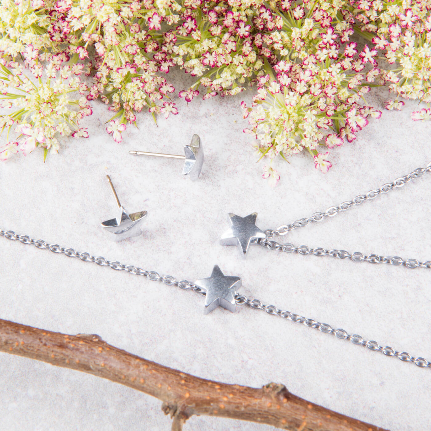 Silver Titanium Star 8 mm Örhänge