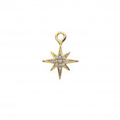 Letters one star pendant for hoops Guld