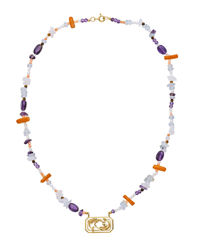 Zodiac Water Pisces Halsband (Guld)