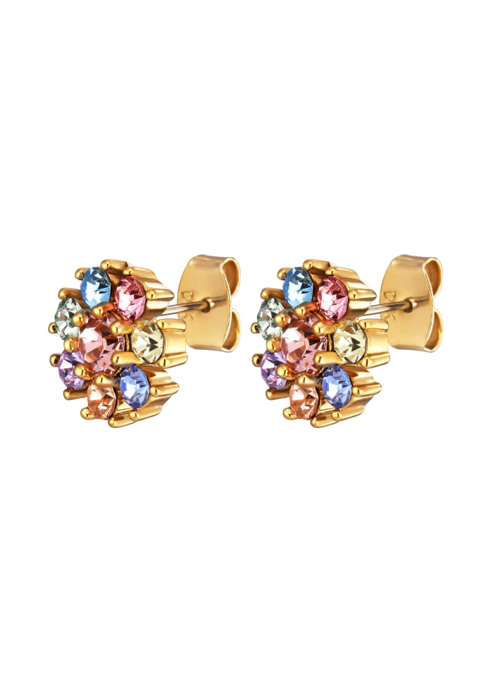 CARNEA SG PASTEL MULTI Örhängen Guld